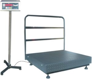 MS Heavy Duty Platform Scale