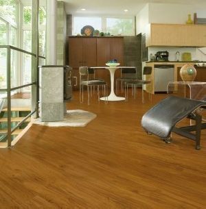 Vinyl Flooring