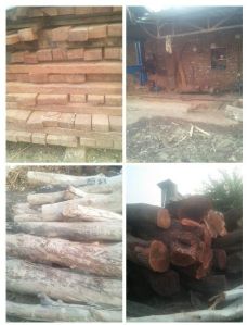 Babool Wood