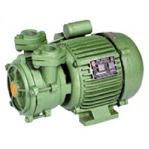 Domestic Monobloc Pump