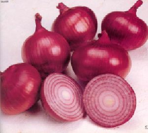 Onion's
