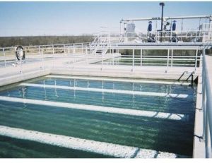 sludge treatment plant