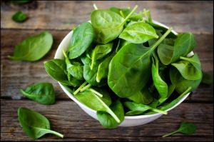 Fresh Spinach