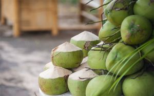 Tender Coconut