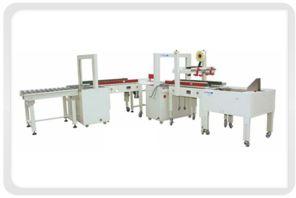 Automatic Carton Packing Line