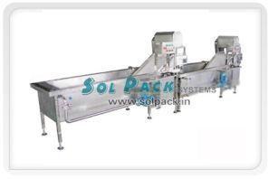 Fruit Washing Machine