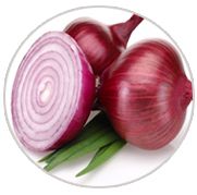 Onion