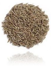 Cumin Seed