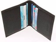 Credit Card Holder