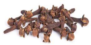 Clove Bud Oil