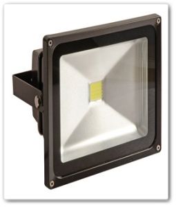 Flood Light