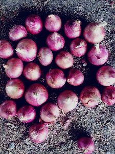 red onions