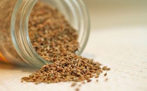 Ajwain Oil