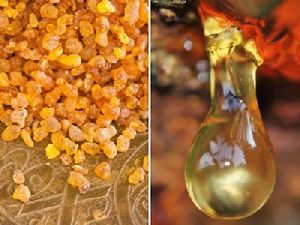 boswellia oil