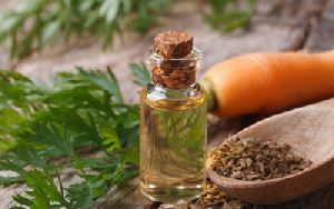 Carrot Seed Oil