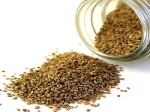 Celery Seed Oil