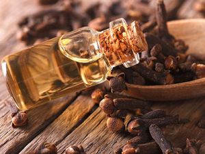 Clove Oil