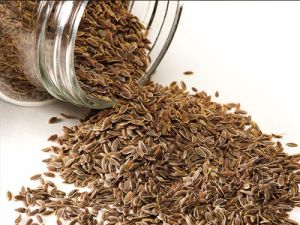 Dill Seed Oil