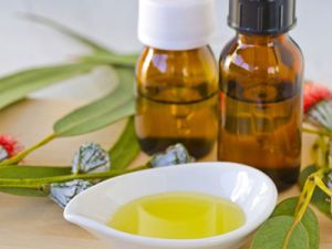 Eucalyptus Oil