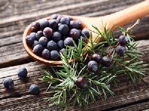 Juniper Berry Oil