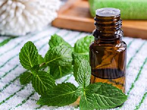 Spearmint Oil