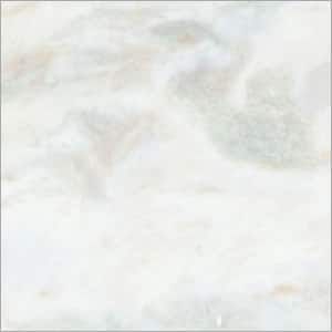 Lady Onyx White marble