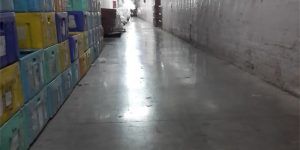 FLOOR REPAIR AND RESTORATION cement