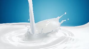 dairy milk