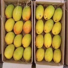 Alphonso Mangoes