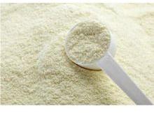 Colostrum Milk Powder