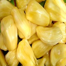 jackfruits