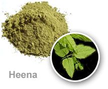 HENNA LEAVES & POWDER