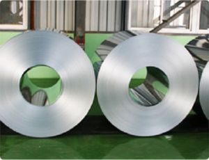 Galvanized Coils