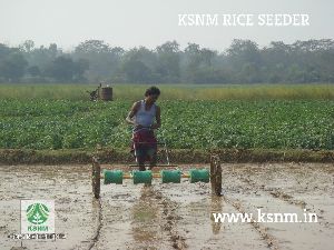 8 row rice seeding machine