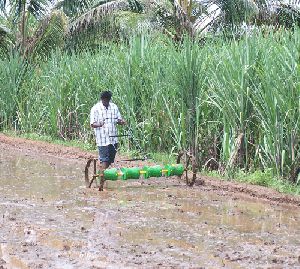 Direct Rice seeder