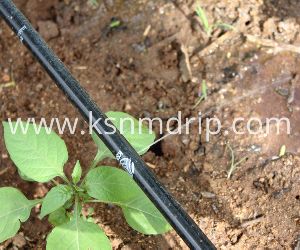 Drip Irrigation Pipe