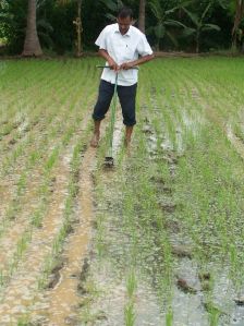 Hand Operated Weeder