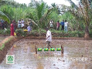 manual rice seed planter