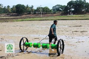 paddy drum seeder