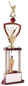 Cricket Trophy