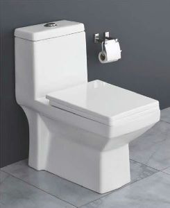 Crystal One Piece Water Closet