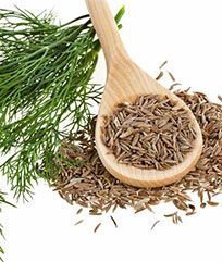 Cumin Seed