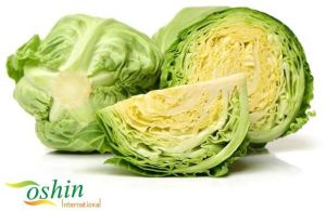 Fresh Cabbage