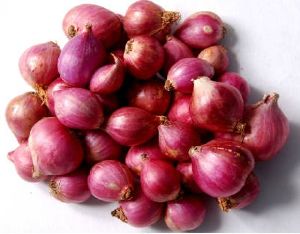 Small Onion