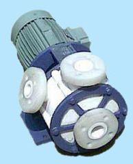 Vertical Sealless And Glandless Pumps