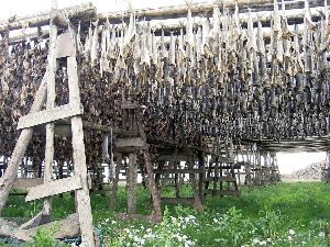 Dried Fish