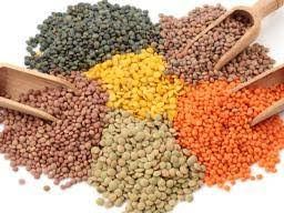 Lentils