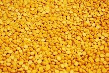 Yellow Lentils