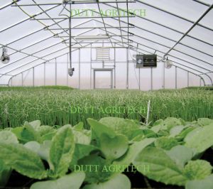 GREENHOUSE AUTOMATION SYSTEMS