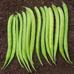 Guar Seeds